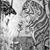 Anita Marin Aviles's profile image