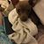 Stefanie Wittenberg Hager's profile image