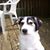 Teresa Swindell's profile image