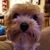 Joyce Barnes's profile image
