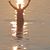 Steve Derks's profile image