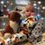 Diane Swendrowski McCarthy's profile image