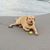 Christopher Decker's profile image