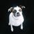 Kim Hearn's profile image