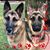 Jolene Decena Jacobs's profile image