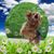 Rose Peters's profile image