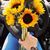 Aracely Marquez's profile image