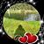 Yram Yesskass's profile image