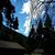Shelli Waldie Sickler's profile image