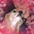 Laura Copeland's profile image