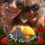 Connie Harrington's profile image