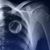 Rudy Sanchez's profile image