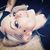 Chari Verespej's profile image