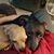 Kathleen Darsey Nelson Mooring's profile image