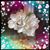 Dawn Siepmann's profile image