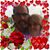 Kelly Cunningham Whidden's profile image