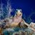 Allyson Jones Doyle's profile image