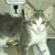 Mike Bayliff's profile image