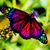 Deborah Watson- Bynes's profile image