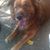 Diane Mulkins's profile image
