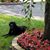 Michelle Budka's profile image