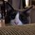 Heidi Benner's profile image