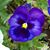 Kathleen Moncus's profile image