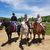 Laura Kelly Mcgrew's profile image