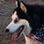 Beverly Hanson's profile image
