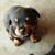 Cheryl Brown's profile image