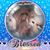 Otter Ott's profile image