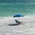 Al Geiger's profile image