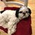 Michelle Natelli Merjanian's profile image