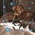 Mary Lynn Ragone Visneau's profile image