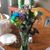 Debbie Welsh's profile image