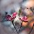 Amanda Flowers's profile image