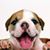 Steve Beck's profile image