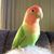 Nancy Trottier's profile image