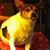 Joyce Harder's profile image