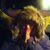 Brigie Blue's profile image