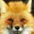 Kathy Nelson's profile image