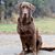 Sonia Liedman's profile image