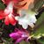 Dholore Aquino's profile image