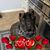 Heather Geary's profile image