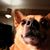 Yvonne Willis's profile image