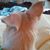 Pamela ter Gast's profile image