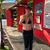 Lori Haase Rowe's profile image