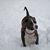 Missy Edes's profile image
