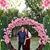 MJ Vilma Palencia's profile image