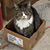 Amanda Milligan Smith's profile image